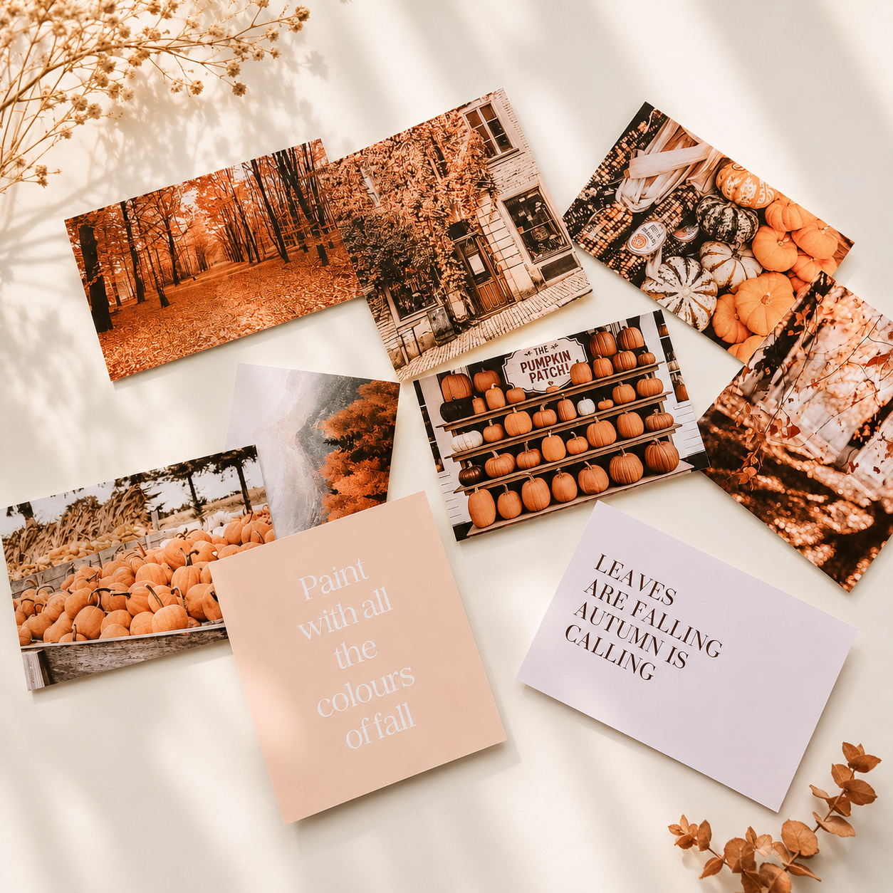 Autumn mood board cards with pumpkin patch imagery and "leaves are falling" quote