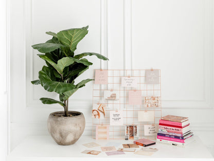 Mini rose gold binder clips styled with cards, books, and a plant on a desk